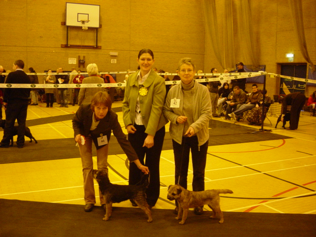 Border Terrier
