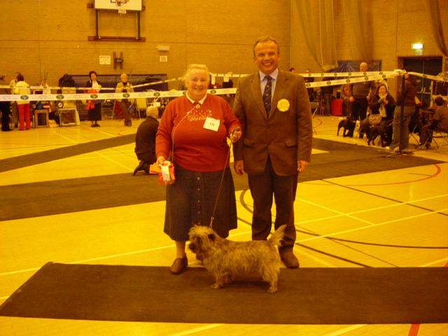 Cairn Terrier