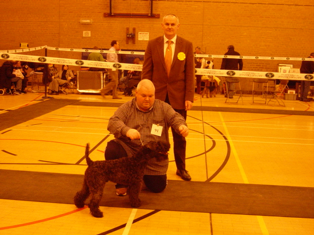 Kerry Blue terrier